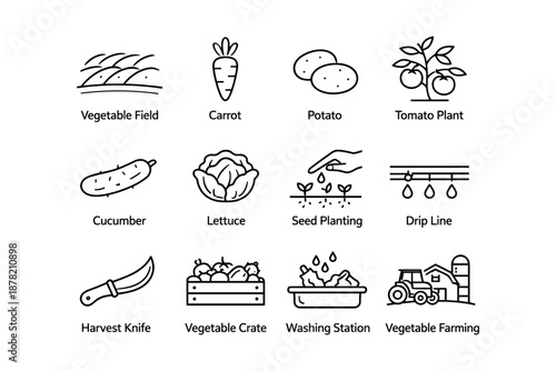 Icons of vegetable farming techniques and tools including carrot, potato, and harvest knife
