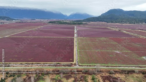 British Columbia Valley With Mountains