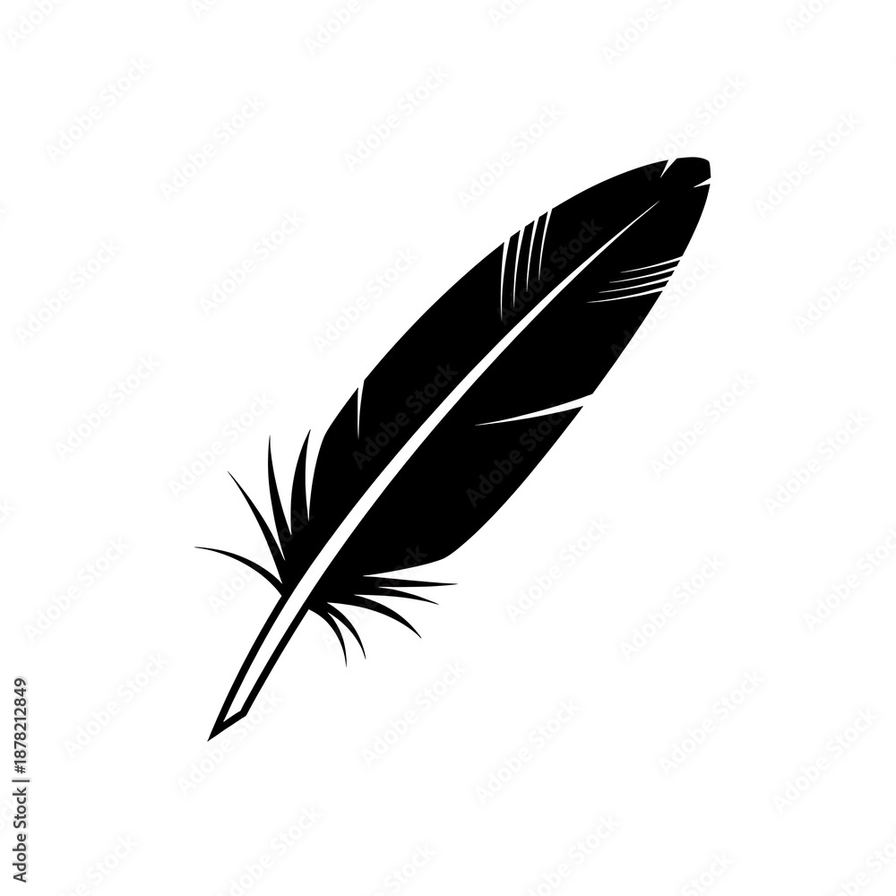 Obraz premium Flat black and white icon of a feather fallen from nowhere