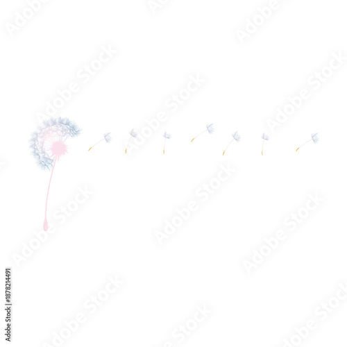 Dandelion and floating seeds logo