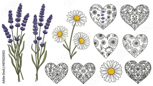 Beautiful floral hearts and flowers for love and romance designs