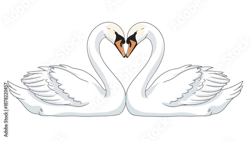 Two swans forming heart shape with necks, symbolizing love and romance