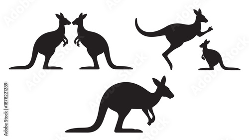 Black Kangaroo Silhouettes Standing Fighting Jumping Isolated on White Background Vector Set