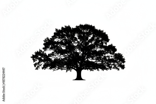 Silhouetted Oak: A majestic oak tree, its silhouette etched against a clear sky, represents strength, longevity, and a deep connection to nature.