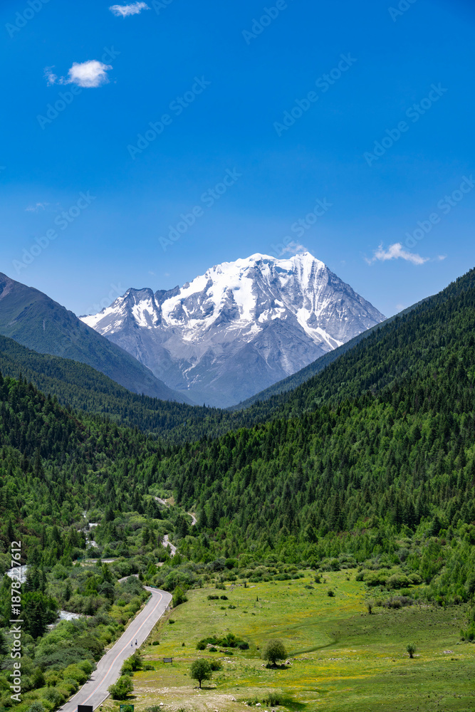Fototapeta premium landscape of road with Yala snow mountain and forest in Sichuan