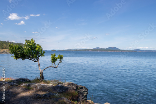 Distant mountains across a blue ocean with a tree on the shore