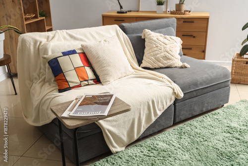 Soft sofa with plaid and cu...