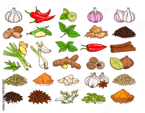 Kitchen Spices Vector Set with Traditional Cooking Ingredients