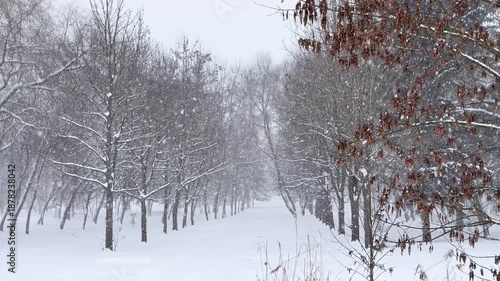 Heavy Snowfall in a Quiet Public Park with Bare Trees Covered in Frost and Snow, Creating a Serene and Misty Winter Landscape Background for Seasonal Content