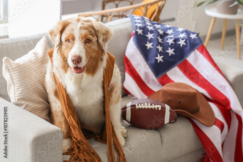 Cute Australian Shepherd do...
