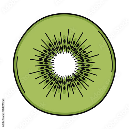 Green Kiwi Fruit Slice Illustration
