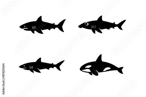 Black silhouettes of marine predators including sharks and a killer whale swimming