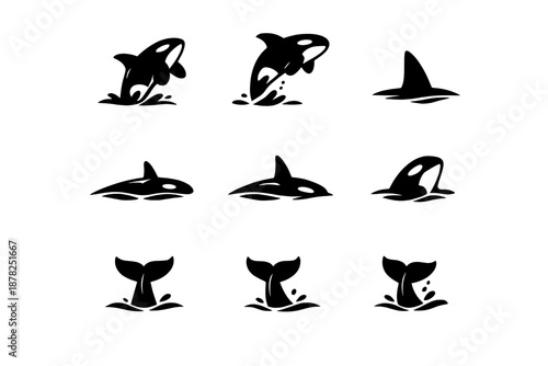 Nine stylized killer whale icons showing various poses including jumping, surfacing, and tail flukes
