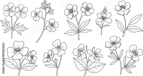 Understanding vector files: the cornerstone of scalable digital graphics and design