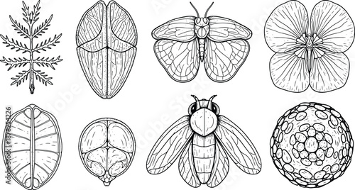 Minimalist representation of a vector file format for graphic design and digital assets