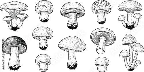 Vector file placeholder graphic for digital design and illustration projects