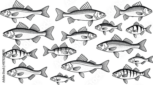 Placeholder image for a vector file indicating its digital and scalable nature