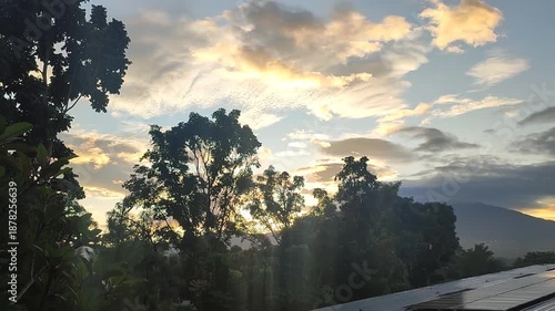 Solar panels installed in a natural outdoor setting with trees and mountain silhouette under soft morning sky, representing renewable energy and sustainable power generation.