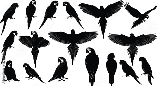 Macaw and Parrot Silhouette Icon Set Featuring Exotic Tropical Birds Perching and Flying for Nature Wildlife Jungle and Environmental Designs,