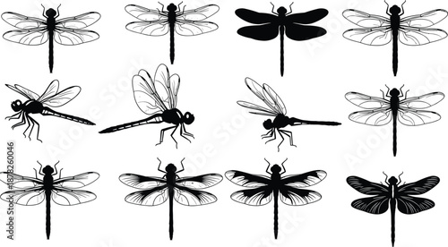 Dragonfly silhouette collection, flat vector insect illustrations, black and white winged bugs, nature art, detailed morphology, flying creature design
