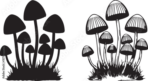 A detailed illustration of a cluster of mushrooms with thin caps and stems, set against a background of grass