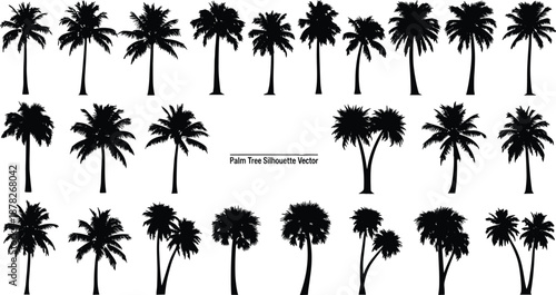 Palm tree silhouettes collection, tropical black vector illustration set, isolated coconut palms design, summer beach nature graphics for branding, posters, logos