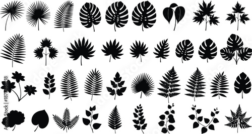 Tropical leaf silhouettes mega collection, black botanical vector set featuring palm, monstera, fern foliage icons for jungle patterns, branding, surface design