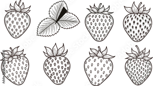 Strawberry fruit line art, botanical sketch, black and white illustration, hand drawn berry, vintage style, nature, leaves, seeds, contour