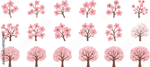 Cherry blossom tree illustrations, pink floral branches, spring nature art, Japanese sakura design, seasonal botanical clipart collection