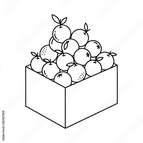 Oranges in a box illustration