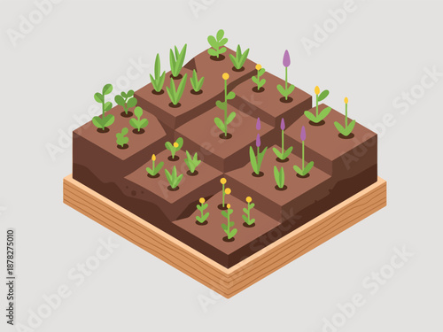Isometric illustration of a square raised garden bed with assorted seedlings and flowering plants