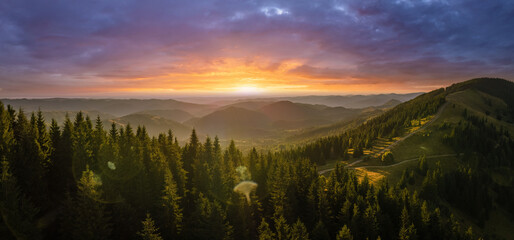 Amazing sunset scenery in wild mountain forest. Dark pine woods illuminated with bright setting sun. Beautiful nature landscape