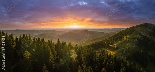 Wallpaper Mural Amazing sunset scenery in wild mountain forest. Dark pine woods illuminated with bright setting sun. Beautiful nature landscape Torontodigital.ca