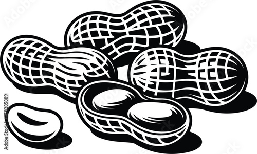 Set of hand drawn peanut sketches including whole shells and cracked open nuts black vector illustration