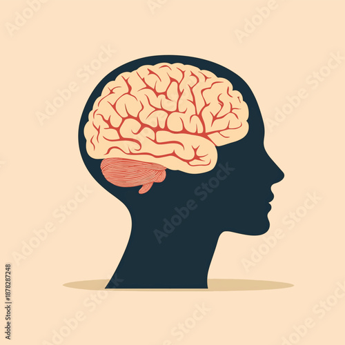 human head silhouette with brain , vector style simple color