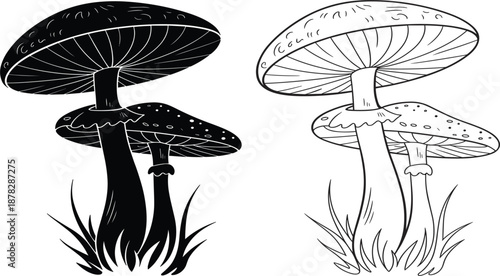 Set of hand drawn mushroom sketches in black silhouette and white outline for nature vector illustration