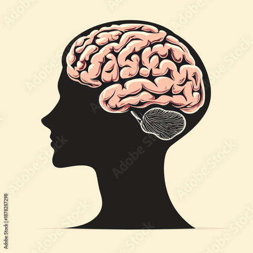 human head silhouette with brain , vector style simple color