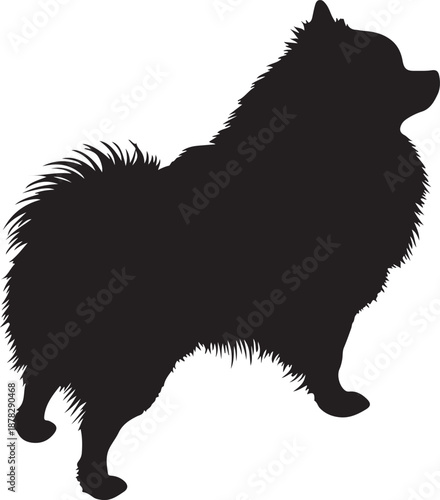 Pomeranian dog in silhouette white background.
