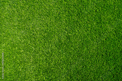 Top view of green grass background. Green turf