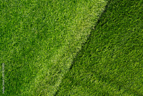 Top view of green grass background. Green turf