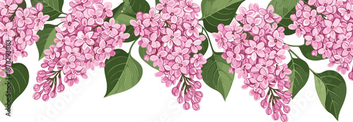 Horizontal arrangement of pink lilac flower clusters with green leaves, detailed botanical illustration ideal for decorative borders, floral design, and nature-themed artwork