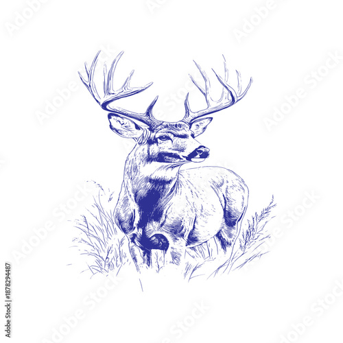 A blue drawing of a deer with large antlers standing in tall grass