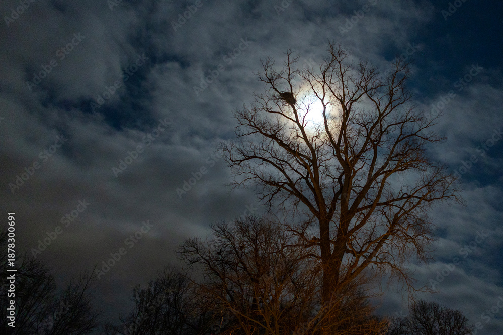 Fototapeta premium clouds in the sky at night with moon