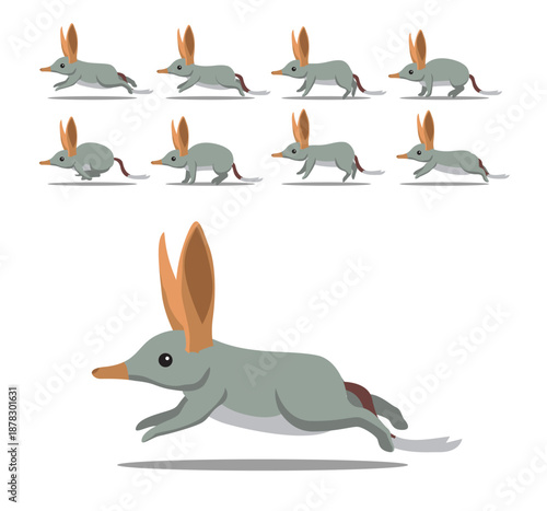 Animal Animation Bilby Moving Cute Cartoon Character Vector Illustration
