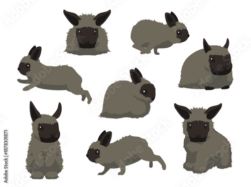 Rabbit Jersey Wooly Various Poses Cartoon Character