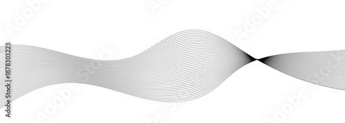 Smooth shape dynamic vector abstract line isolated white background used for presentations, desktop wallpapers and digital art.
