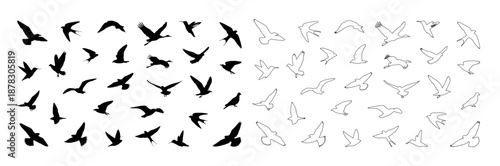 silhouettes of birds flying on a png background