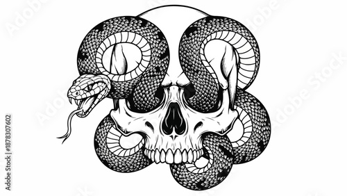 A snake wrapped around a skull