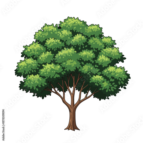 A tree with green foliage