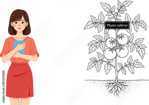 Vector set featuring a young woman in a red dress holding a book and a tomato plant diagram